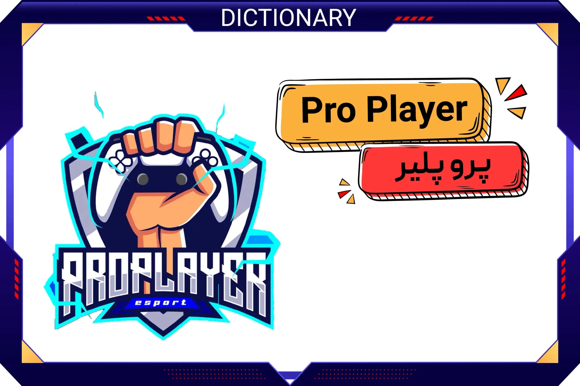 بازیکن حرفه ای (Pro Player)